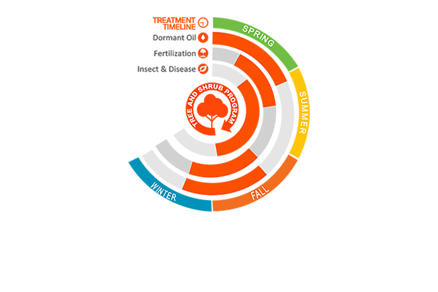 tree shrub graph